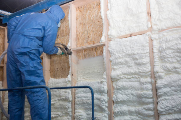 Best Attic Insulation Installation in Clay Center, KS